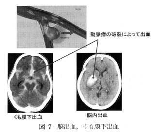 図7