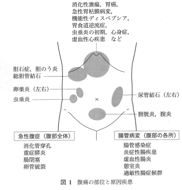 図1