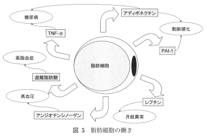 図5