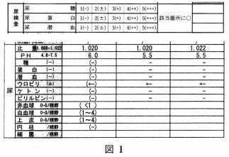 図1